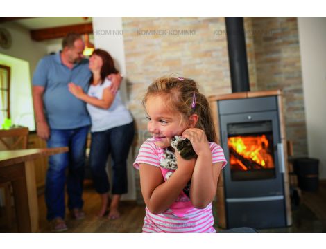 HAAS SOHN ALYTUS II piec wolnostojący z płaszczem wodnym 10,2 kW | Havana - 5