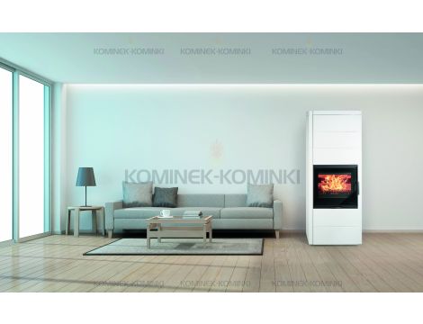 HAAS SOHN LEVI wkład kominkowy 8,2 kW | Czarny - 3